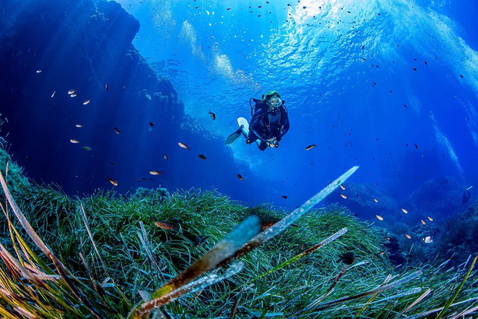 Immersione a Punta San Paolo