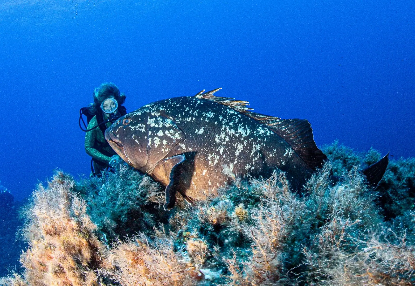 Punta Galera