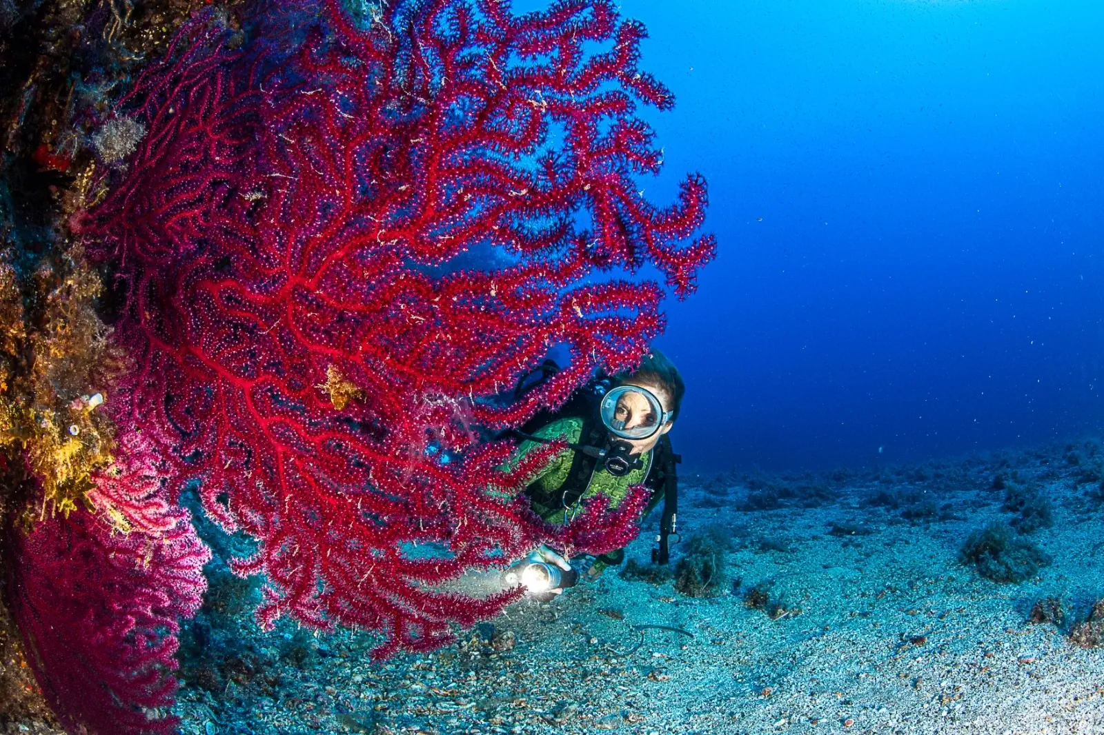 Punta d'Arpa